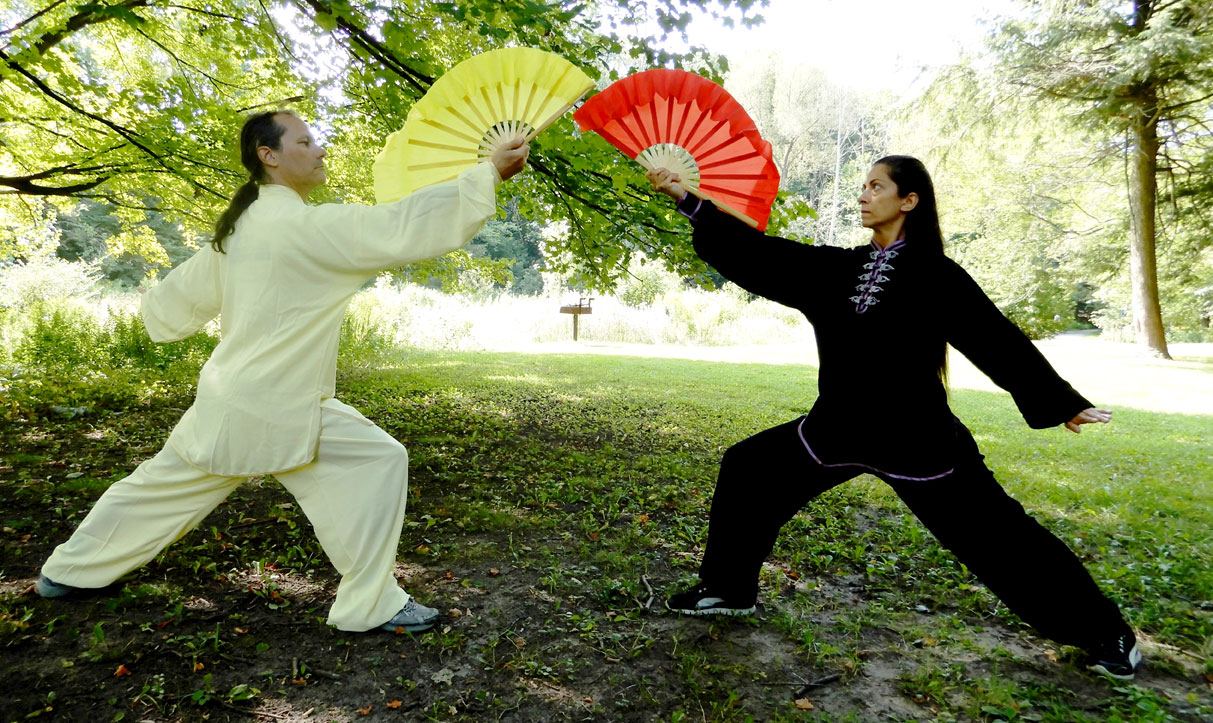 tai chi fan