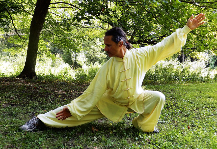 tai chi fan